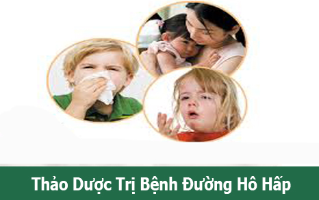 Các Bệnh Về Đường Hô Hấp