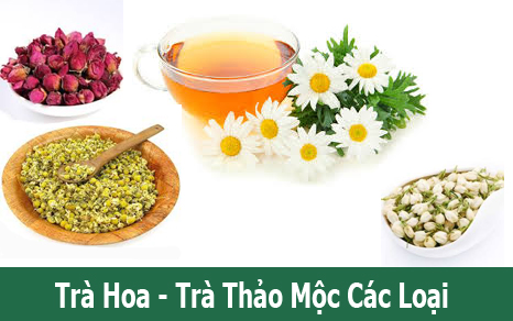 Trà Hoa - Trà Thảo Mộc