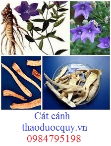 Cát cánh