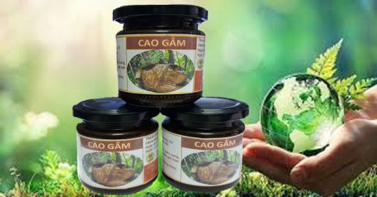 CAO GẮM trị bệnh gout ( gút), đau nhức xương khớp