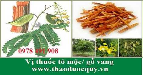 Tô mộc/ gỗ vang