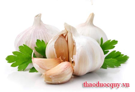 Tỏi